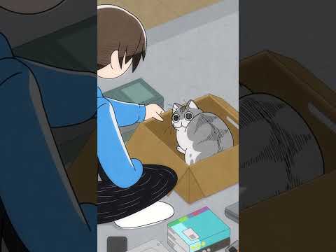 ジャマしにきたネコ サムネイル