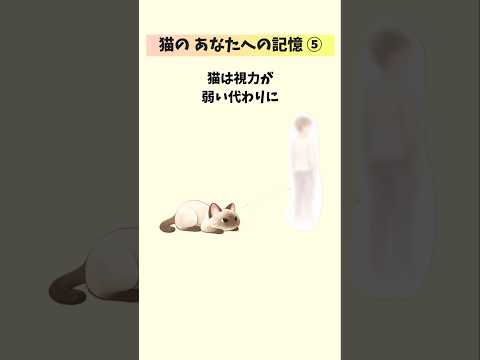 猫が一生忘れない飼い主の記憶【10選⑤】 猫 雑学 豆知識 トリビア 音声「VOICEVOX：ずんだもん」さん サムネイル