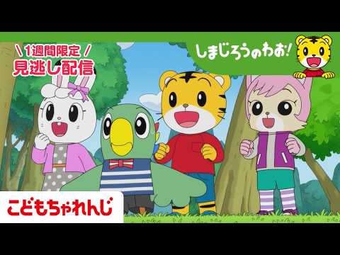 【見逃し配信】テレビ番組「しまじろうのわお！」 3月7日放送 ｜しってる？ しらない？｜714【しまじろうチャンネル公… サムネイル
