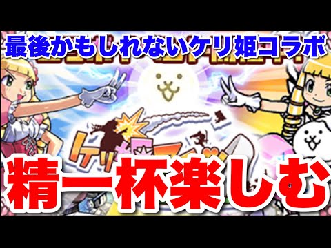 最後かもしれないケリ姫コラボを精一杯楽しんでたら途中から主役が...   にゃんこ大戦争　battlecats　【オレ… サムネイル