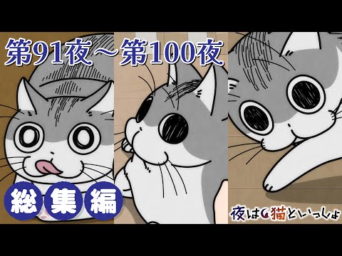 アニメ『夜は猫といっしょ』×10！【第91夜～第100夜まとめ】 サムネイル
