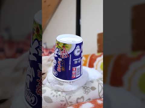 カップスター 点天監修 餃子風塩ラーメン　260212　のせ猫　 cat cute kitten　 ねこ 猫のいる暮ら… サムネイル