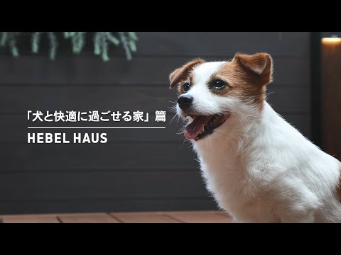 HEBEL HAUS｜ペットが幸せ、というしあわせ。 サムネイル