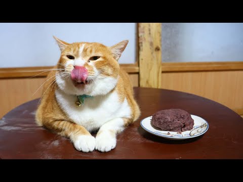 ちゃぶ台の上のおはぎ　260113 サムネイル