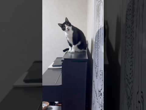 お母さんを見て一言 サムネイル