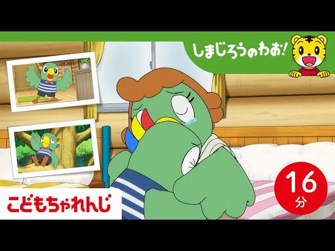 【16分アニメ】がんばるとりっぴいまとめ│家族│成長 │兄弟 │しまじろうのわお！アニメ│しまじろうチャンネル公式 サムネイル