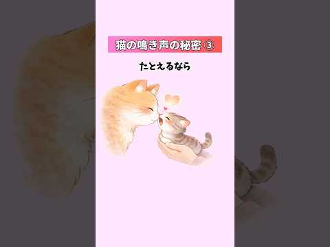 猫の鳴き声に隠された【魂のメッセージ】猫があなたにだけ話しかける本当の理由③ 猫 雑学 豆知識 トリビア 音声「VOI… サムネイル