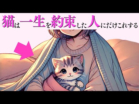 【猫が一生を約束した人にだけ見せる行動】猫の雑学 サムネイル
