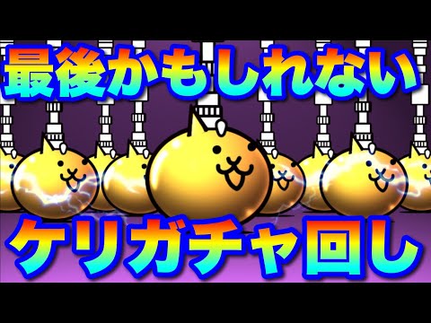 これが最後になるかもしれない・・・ケリ姫コラボガチャ回します！　にゃんこ大戦争　battlecats　【オレンジチャン… サムネイル