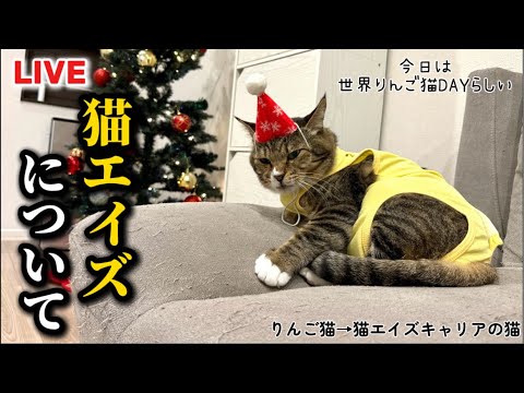 猫エイズについて。 サムネイル