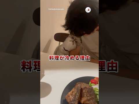 料理が冷めます｜PECO サムネイル