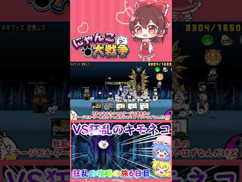 【にゃんこ大戦争】余裕すぎwwwVS狂乱のキモネコ【ゆっくり】【6日目】【動画切り抜き】 サムネイル