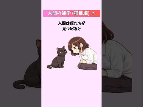 猫から見た人間が愛おしすぎた件【人間の雑学(猫目線)②】  猫 雑学 豆知識 トリビア 音声「VOICEVOX:ずんだ… サムネイル