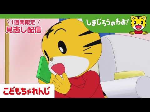 【見逃し配信】テレビ番組「しまじろうのわお！」 1月31日放送 ｜おとなっぽいって カッコイイ？｜709【しまじろうチ… サムネイル