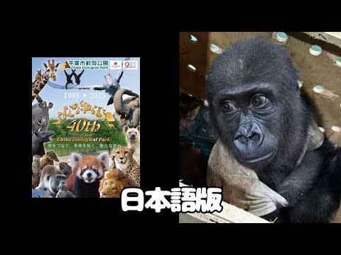 千葉動物虐待三兄弟の歌 サムネイル