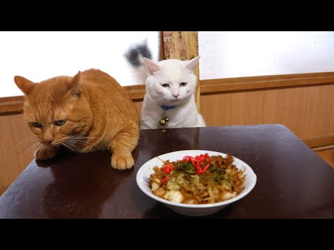 ちゃぶ台の上の焼きそば　260206 サムネイル