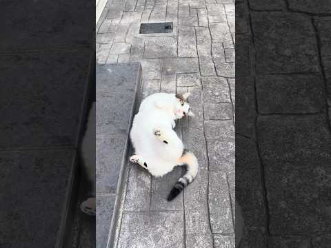 今日はコレで子供部屋の布団で寝ます サムネイル