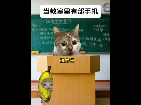 老师：明天交班费有趣 猫meme 猫meme剧场 猫meme小剧场 内容过于真实  故事 貓 猫猫meme小剧场 喵不… サムネイル