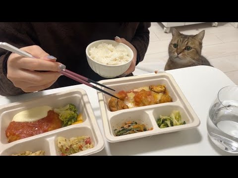 美味しそうなお弁当を猫に見られながら爆食いしてみた サムネイル