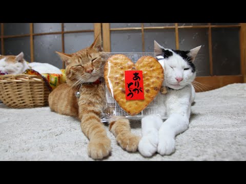 うずまきLIVE配信？　放置？　朝まで？　2026年2月08日 サムネイル