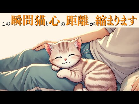 【猫と心の距離が縮まる瞬間】猫の雑学 猫 ねこ サムネイル