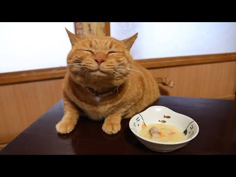 ちゃぶ台の上のクリームシチュー　260213 サムネイル