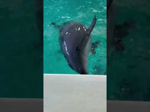 きょうのレンカ⑧ サムネイル