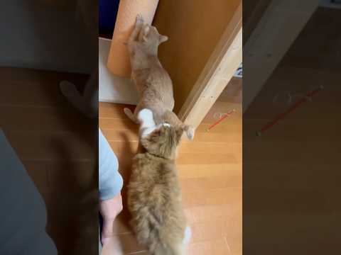 ヒットアンドアウェイ サムネイル