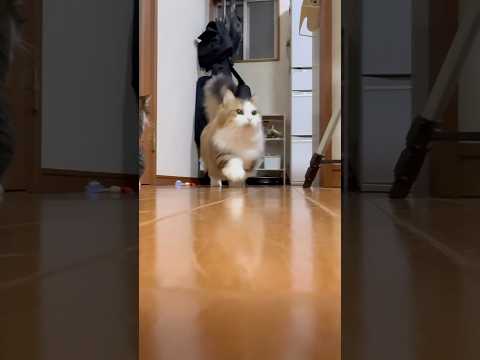 何でなん サムネイル