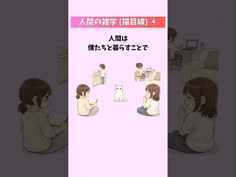 猫から見た人間が愛おしすぎた件【人間の雑学(猫目線)④】  猫 雑学 豆知識 トリビア 音声「VOICEVOX:ずんだ… サムネイル
