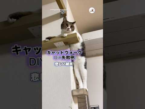 DIYしたのに悲しい結末…｜PECO サムネイル