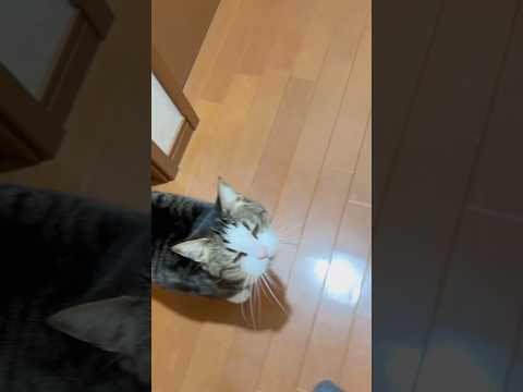 父ちゃん待って サムネイル