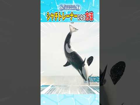シャチが好きだぁ〜〜〜！！！ 鴨川シーワールド サムネイル