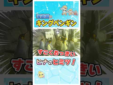 ペンギンのヒナが〇〇すぎる！？海遊館 サムネイル