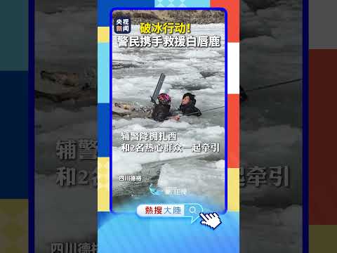 【大陸】破冰行動！四川警民攜手救援白唇鹿 サムネイル
