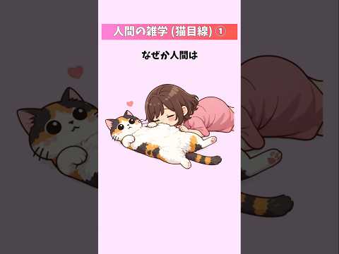 猫から見た人間が愛おしすぎた件【人間の雑学(猫目線)①】  猫 雑学 豆知識 トリビア 音声「VOICEVOX:ずんだ… サムネイル