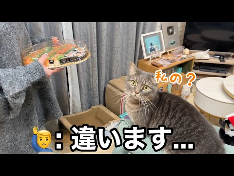 猫たちの前でクリスマスパーティーをした結果、狙いを定める猫が現れました… サムネイル