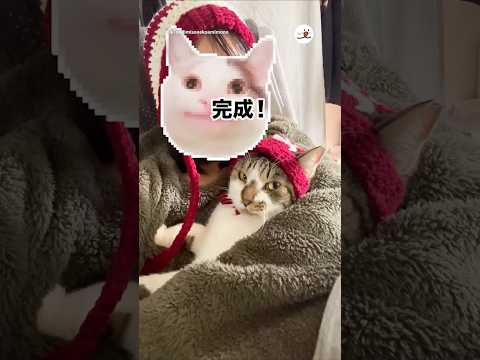 愛猫とお揃いの帽子を編んでみた｜PECO サムネイル