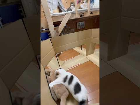 遅いおそい サムネイル