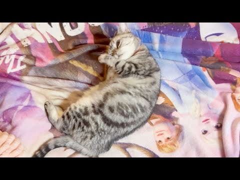 みんなはパパより長生きするんだぞ サムネイル