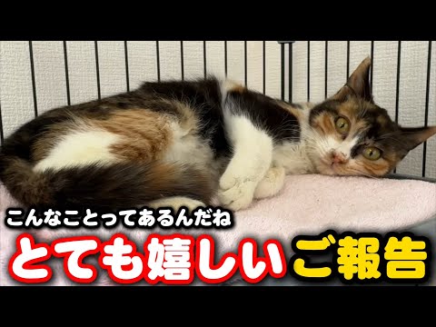 一時は諦めた小さな命…とても嬉しいご報告があります サムネイル