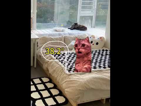 这是不是得了甲流之后的你有趣 猫meme 猫meme剧场 猫meme小剧场 内容过于真实  故事 貓 猫猫meme小剧… サムネイル