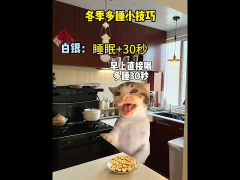 天冷了，这些多睡小技巧可能对你有帮助有趣 猫meme 猫meme剧场 猫meme小剧场 内容过于真实  故事 貓 猫猫… サムネイル