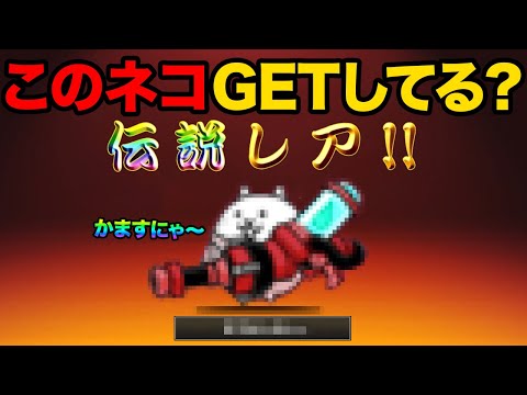 このネコの正体知ってる？？？？？？？？？？？ サムネイル