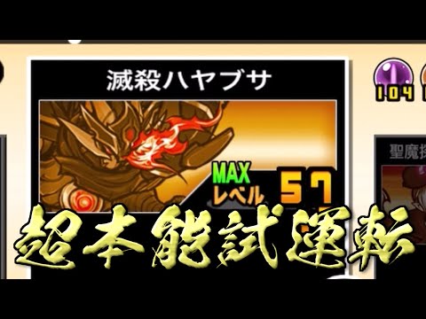 【にゃんこ大戦争】ぶっ壊れの予感？超本能ハヤブサ試運転生配信 サムネイル