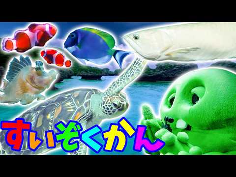 【水族館なのに！？】ナマケモノ・カワウソ・フクロウ・マイクロブタたちとふれあえるDMMかりゆし水族館がステキすぎた！【… サムネイル