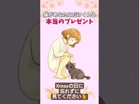 🐈️🎄猫があなたにだけくれる本当のプレゼント🎁…それは一生消えることのない…猫からの贈り物🎅 猫 贈り物 感動 音声「… サムネイル