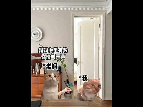 当蝴蝶被我妈当成太姥时  有趣 猫meme 猫meme剧场 猫meme小剧场 内容过于真实  故事 貓 猫猫meme小… サムネイル