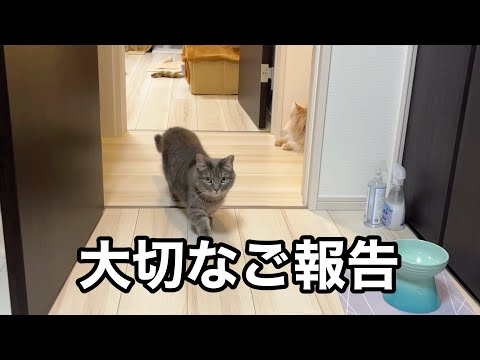 【ご報告】小さな命をお迎えしました サムネイル