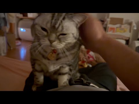 今はあたしの時間なの！ サムネイル